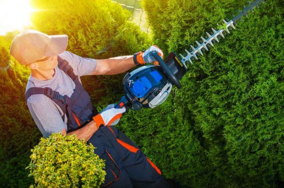 Mise en forme et taille de haie de jardins d'une copropriété - Nice - POKO BATI